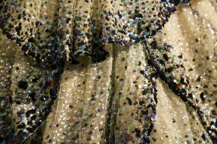 cinderella gown close up